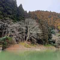 嵐山最在地的體驗【保津川遊船】