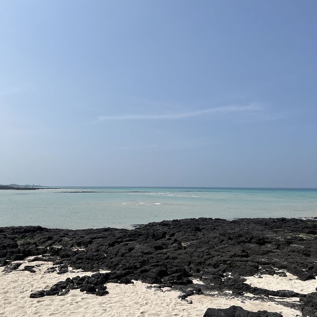 에메랄드빛 바닷물이 너무 맑은 해수욕장🌊