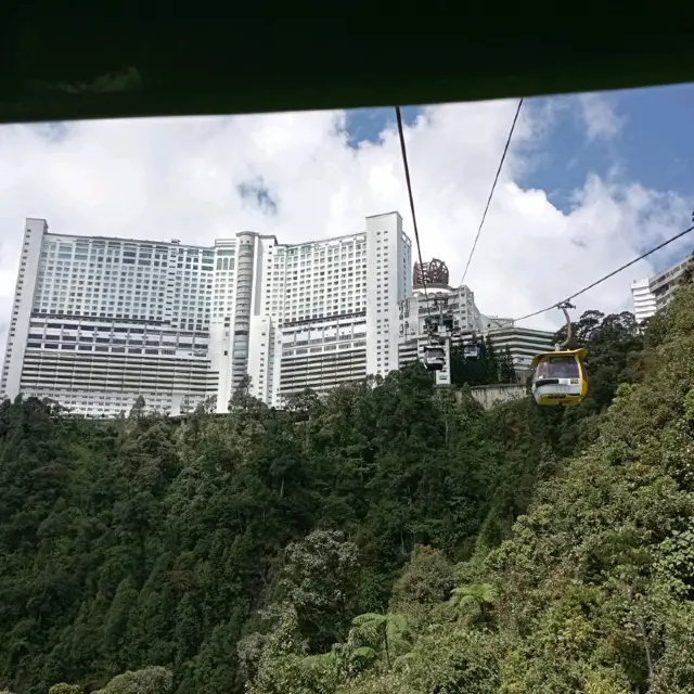 Viewing Natural Forest When Taking Skyway