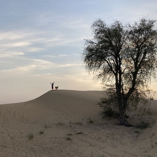 Sunset on a desert