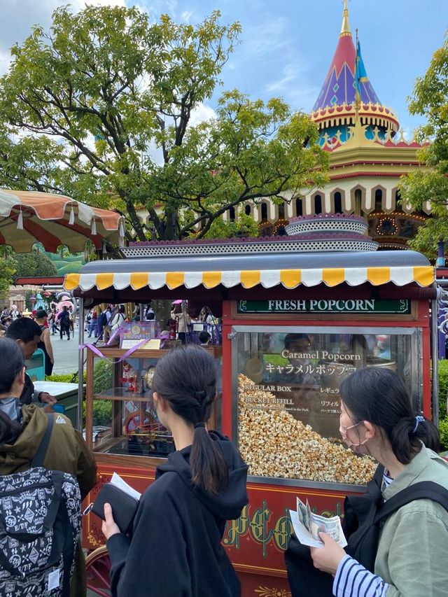Tokyo Disneyland!
