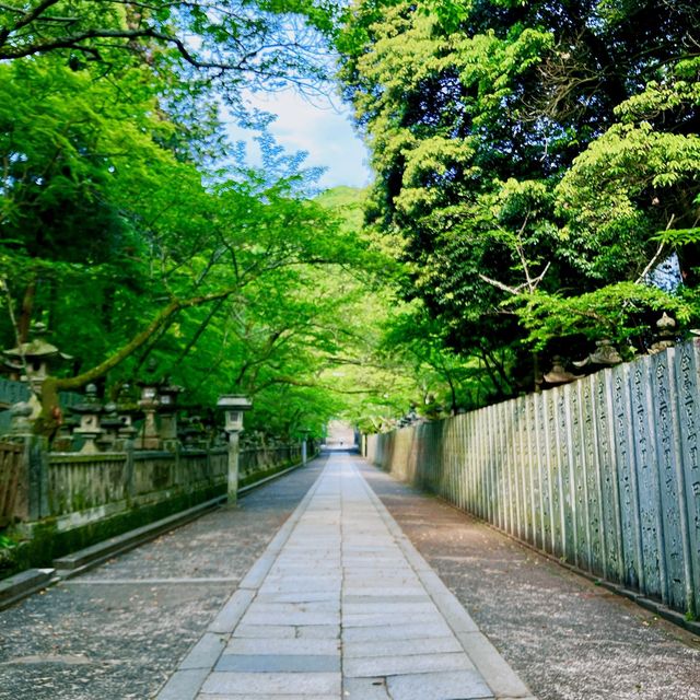 【香川】785段の石段登った先にある神社⛩️