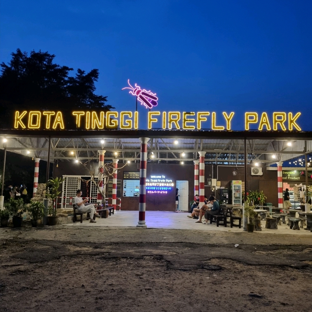 Amazing Firefly at Kota Tinggu Firefly Park | Trip.com Kota ...