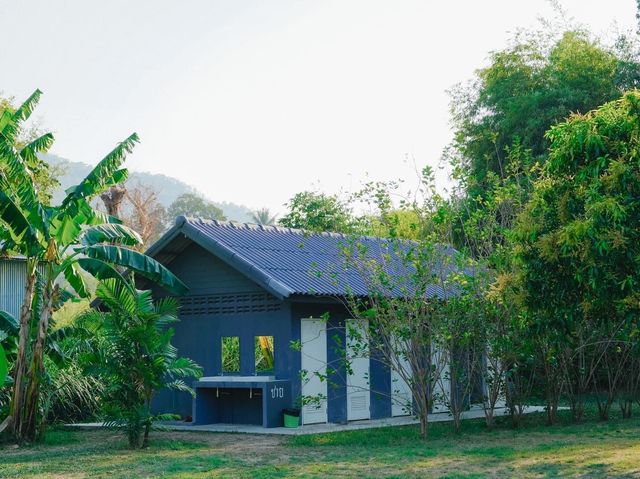 Chong Mafueng Camping  -ช่องมะเฟือง แคมป์ปิ้ง