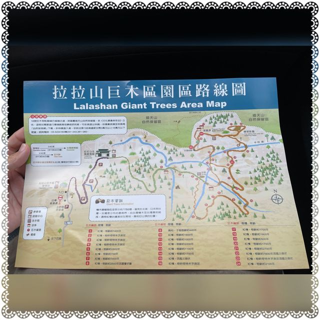 （桃園/復興）享受芬多精的洗禮-拉拉山神木群步道