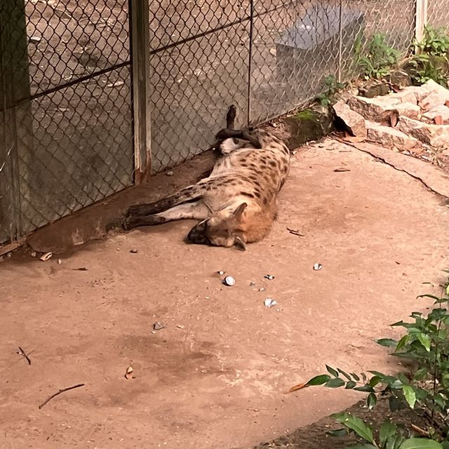 サイゴン動植物園