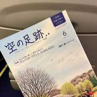 【搭乗記】スカイマークで新千歳から羽田へ