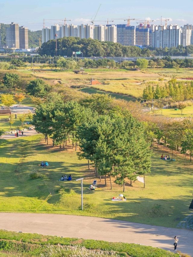 아이와 산책하기좋은 갯골생태공원