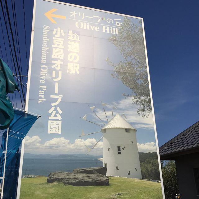小豆島 ｜遊橄欖公園 🍧嘆超好味gelato 