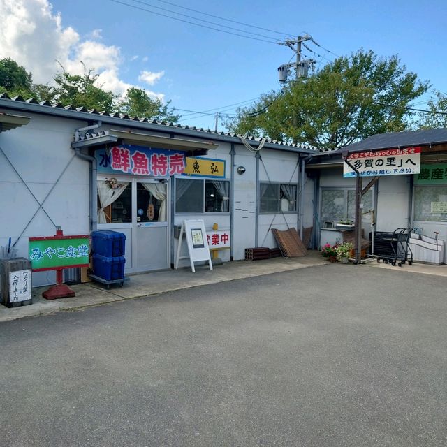 愛知旅行！「多賀の里」「魚弘」