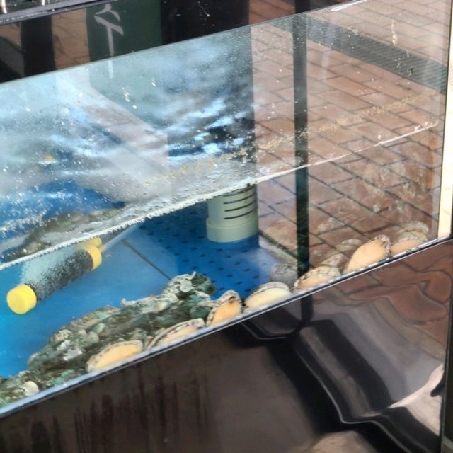 서귁보 안덕면 맛집)홍회장보말칼국수 - 제주 신화월드 근처 인생 제주 보말칼국수 맛집/ 무조건 방문 필수