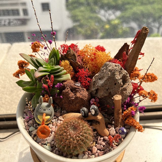 ☘️ Therapeutic Time with Terrarium in SG 🌿