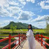 🎏🎏 คาเฟ่เปิดใหม่สไตล์ญี่ปุ่นกาญจนบุรี