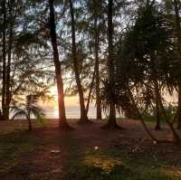 ชมพระอาทิตย์ตกที่หาดไม้ขาว