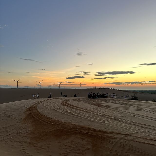 베트남의 작은 사막 화이트 샌듄🏜️🦂