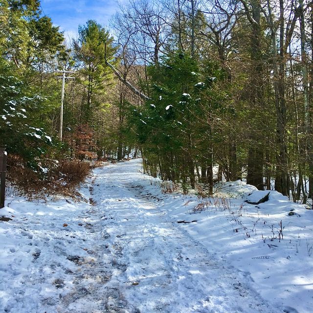 A hike up Overlook Mountain and Fire Tower