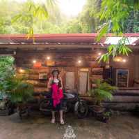 Bee forest บ้านแม่ลาย เชียงใหม่
