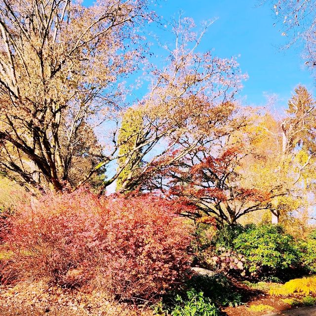 Colorful autumn at Deer Lake Park 