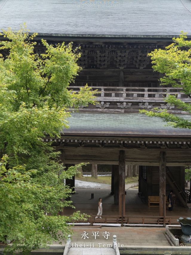 福井県オススメスポット