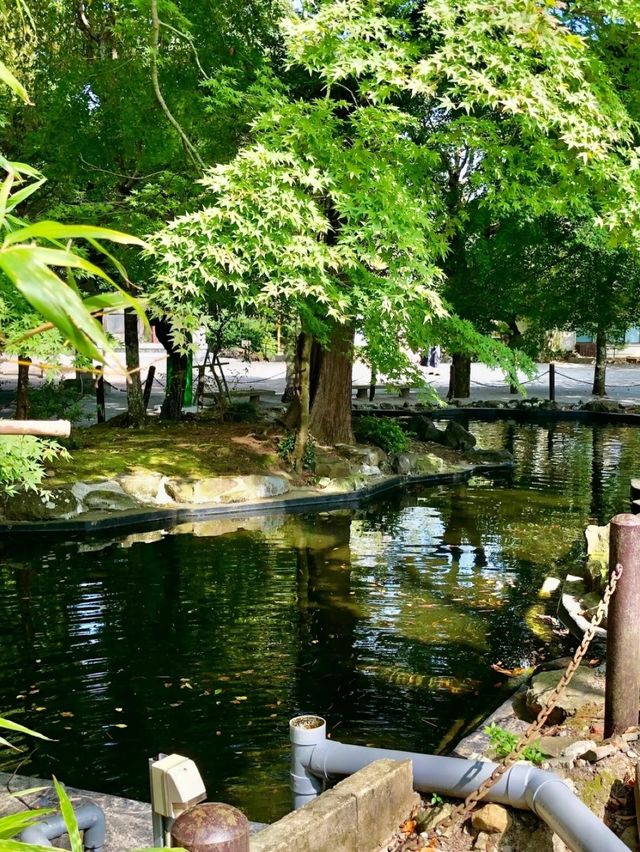 【熱海お出かけスポット】伊豆山神社