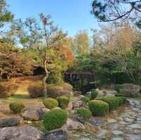 애견동반 가능한 전주 공원 : 전주 덕진공원 🌳