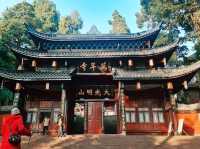Amazing Leshan Giant Buddha Stone Statue 