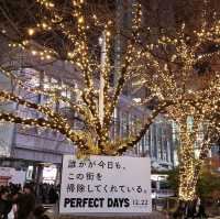 สุนัขผู้ซื่อสัตย์กับใบไม้แดง Shibuya, Tokyo