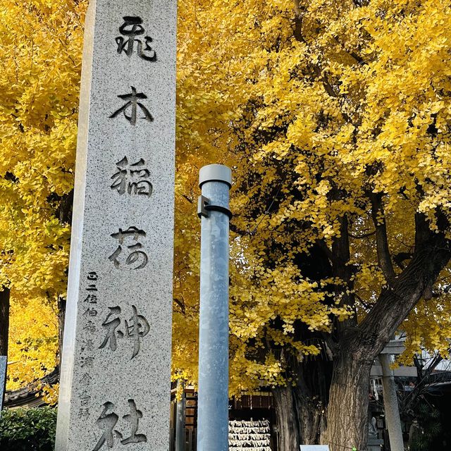 兩個東京巿區隱敞超美銀杏神社