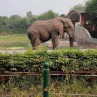 National Zoological Park