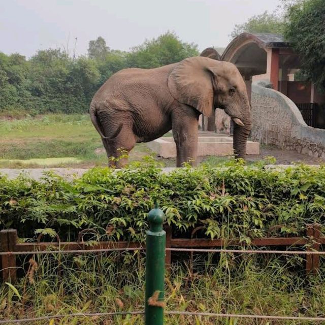 National Zoological Park