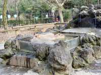 Saitama Children's Zoo
