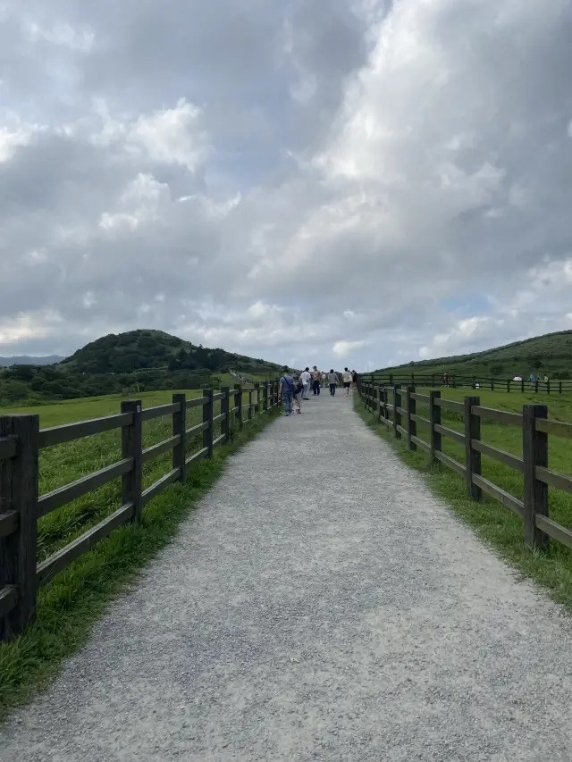 ［陽明山］擎天崗+小油坑🐮｜陽明山必去景點