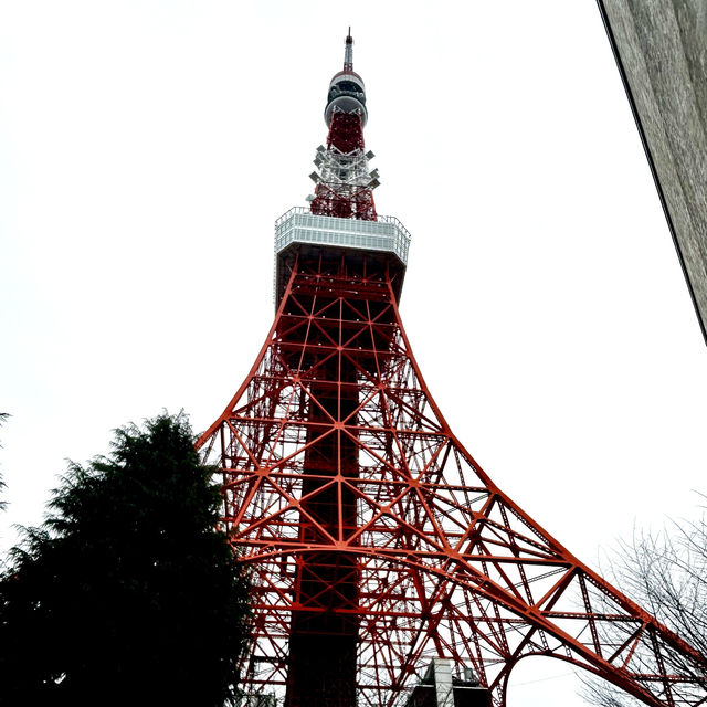The stunning Tokyo tower 🗼 