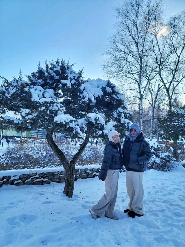 눈오면 꼭 가야할 평창 호텔🤍