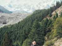 Fairy meadows 