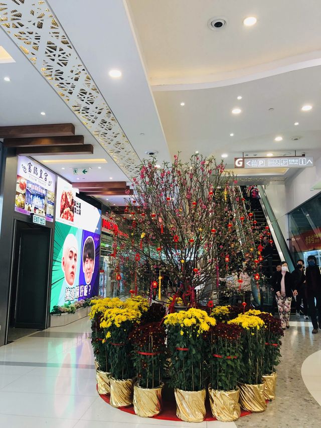 兩棵霸氣十足的桃花🌸🌸