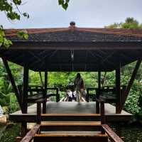 A Museum Made of Entirely Wood?