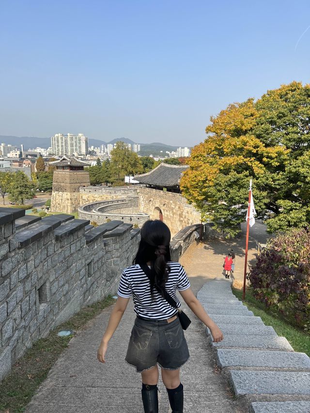 수원화성 한 바퀴💨 수원시내를 한눈에 볼 수 있는 성곽둘레길