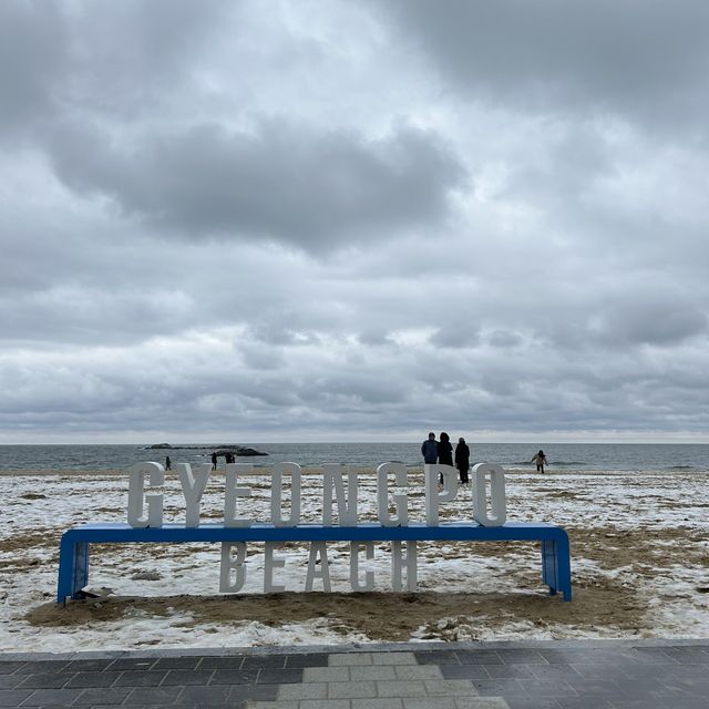 경포해변, 겨울바다의 매력 속으로❄️