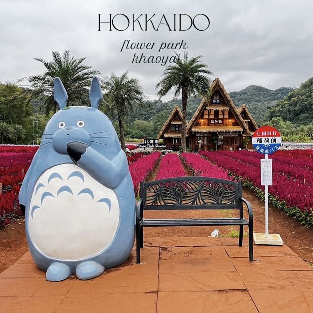 Cafe  Hokkaido flower park khaoyai