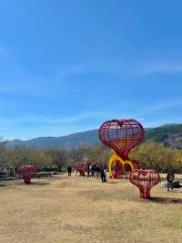 봄에만 열리는 구례 산수유축제 다음주부터 시작💛