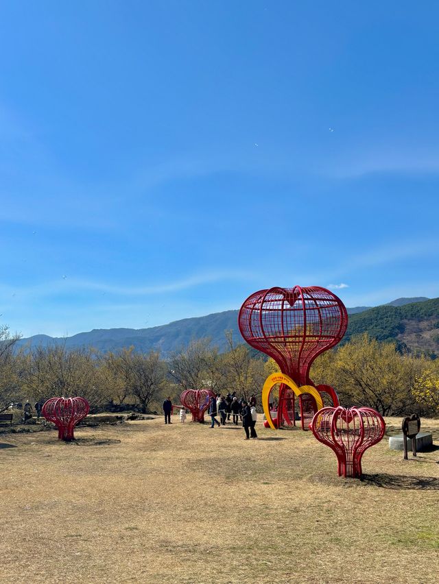 봄에만 열리는 구례 산수유축제 다음주부터 시작💛