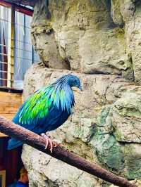 Central Park zoo