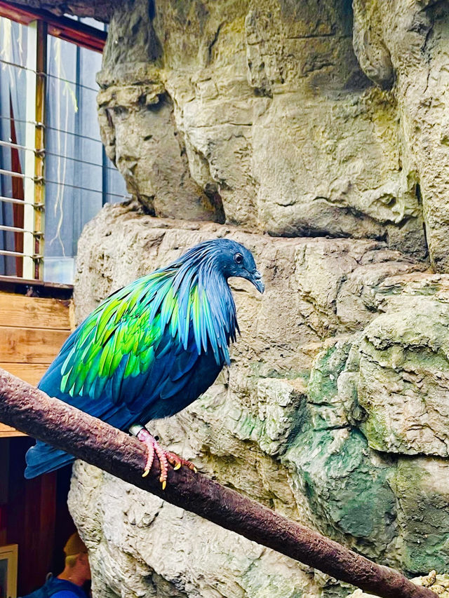 Central Park zoo