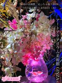 【アートアクアリウム美術館 GINZA /東京都】春を先取り！幻想的空間の桜と金魚
