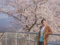 จุดชมวิว Amanohashidate View Land