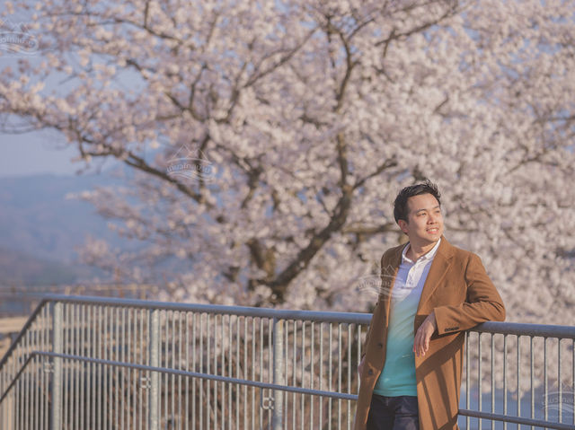 จุดชมวิว Amanohashidate View Land