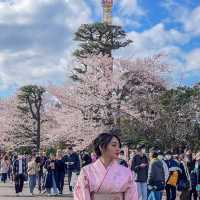 A day in Sensoji Temple🏮