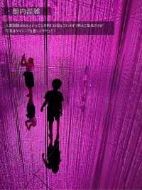 【東京】チームラボプラネッツ初心者ガイド♡