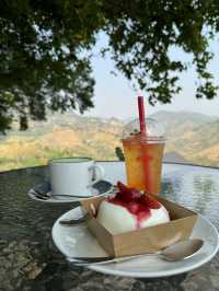 ☕️ ‘ไร่ชาวังพุดตาล’ คาเฟ่สไตล์จีน สวรรค์ของคนชอบชา